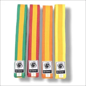 Bytomic Gold Stripe Martial Arts Belt