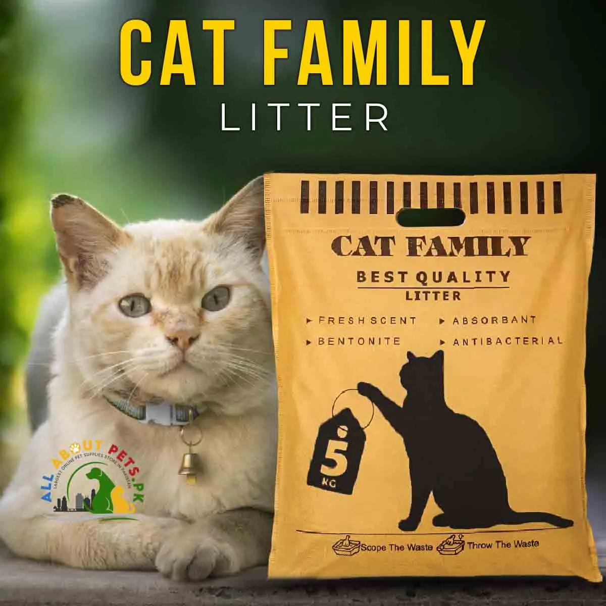 Cat Family Litter best Quality 5kg - Odor-Eliminating Bentonite Formula for a Fresh and Hygienic Cat Environment