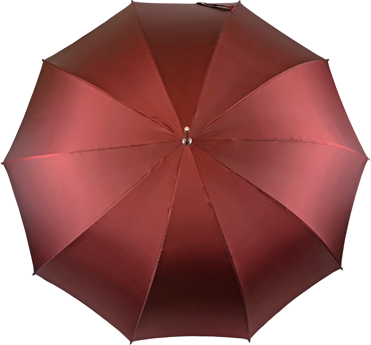 Elegant men's umbrella with silverplated Labrador