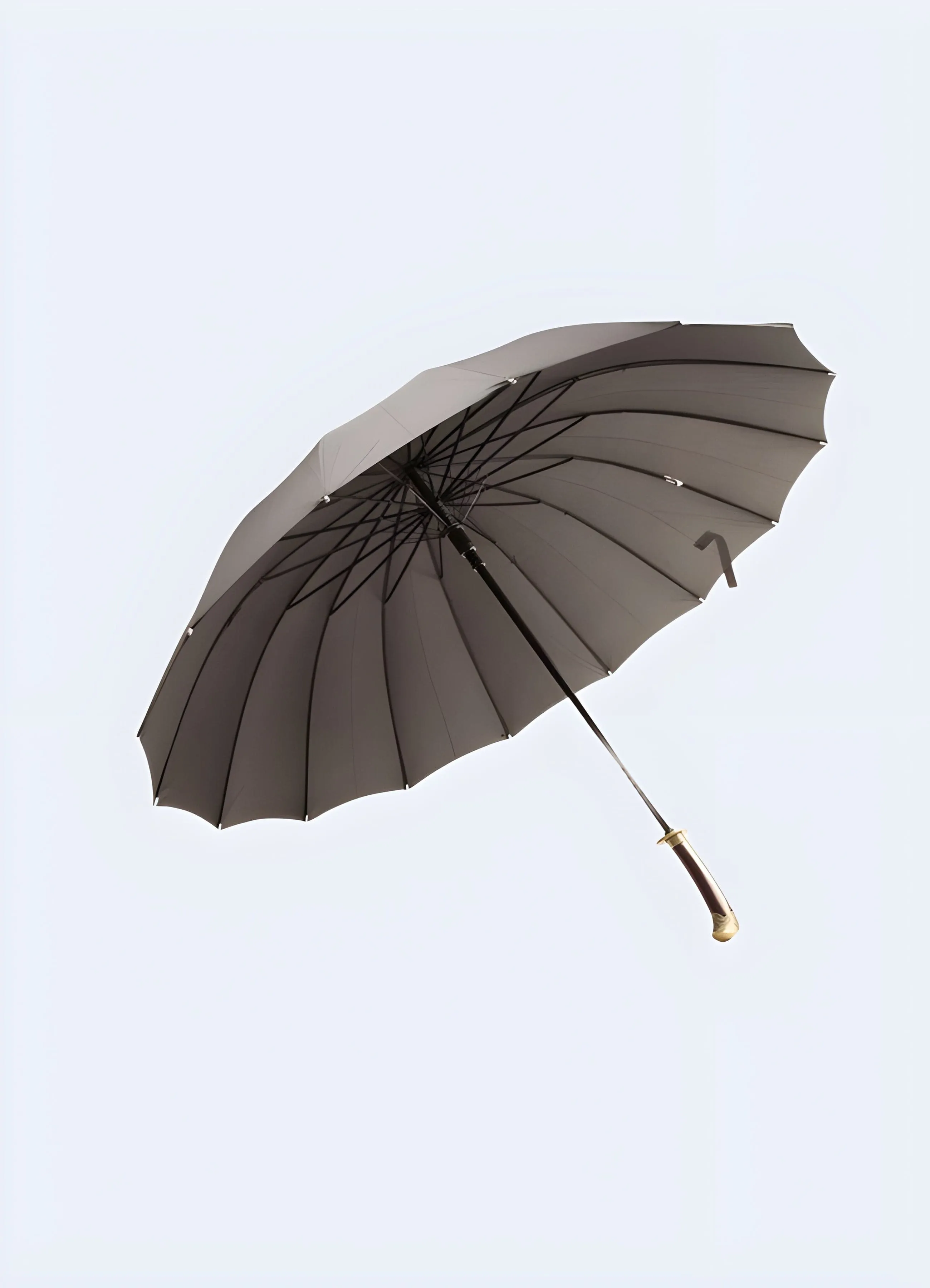 Martial Arts Umbrella