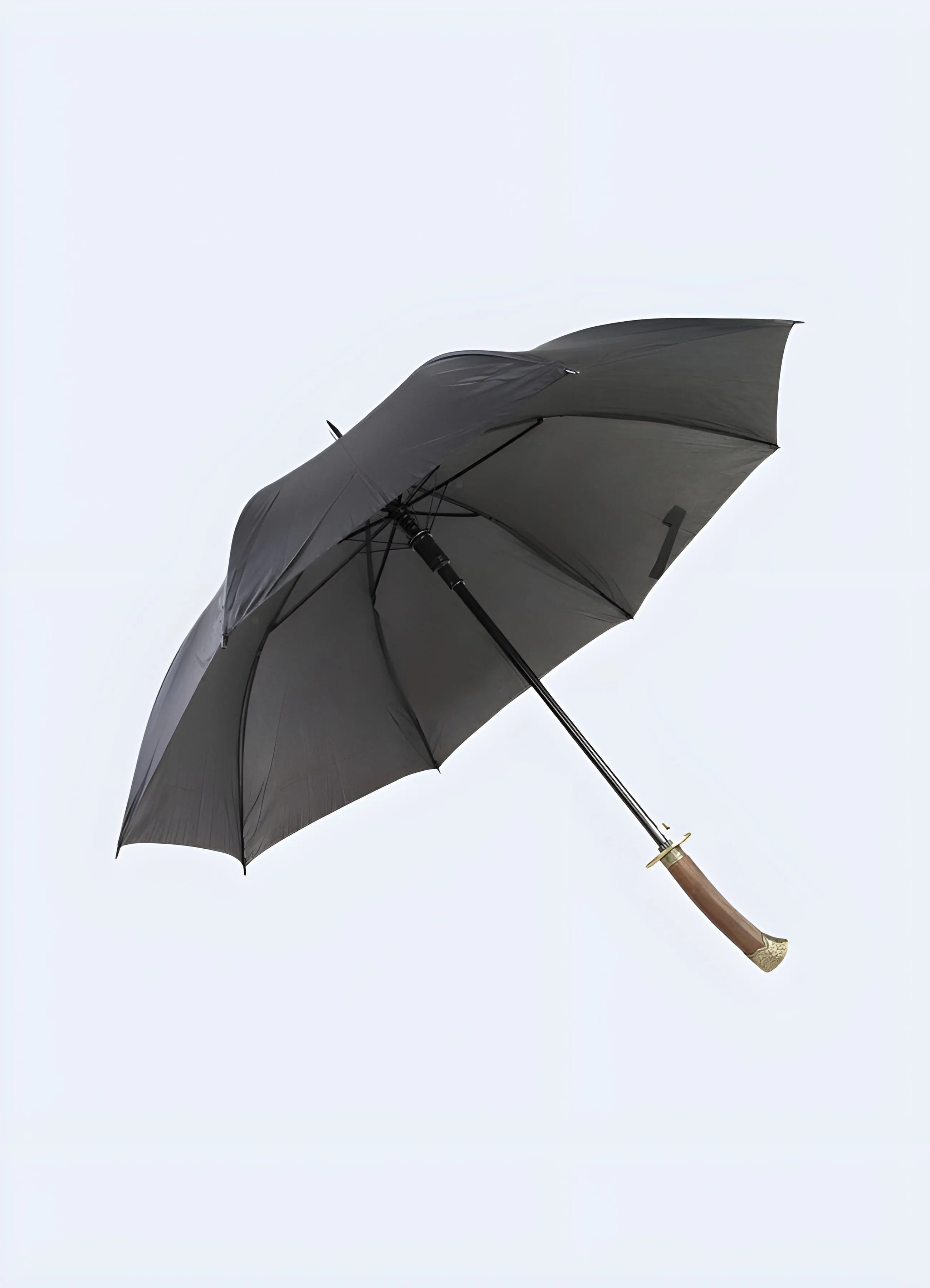 Martial Arts Umbrella