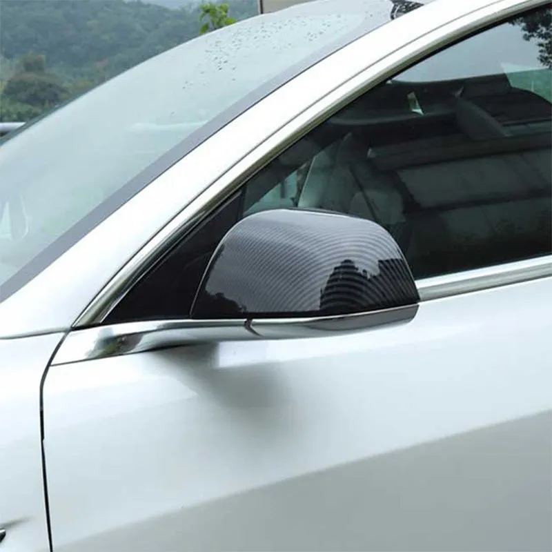 TAPTES Carbon Fiber Side Mirror Decorate Covers for Model Y 2025-2020
