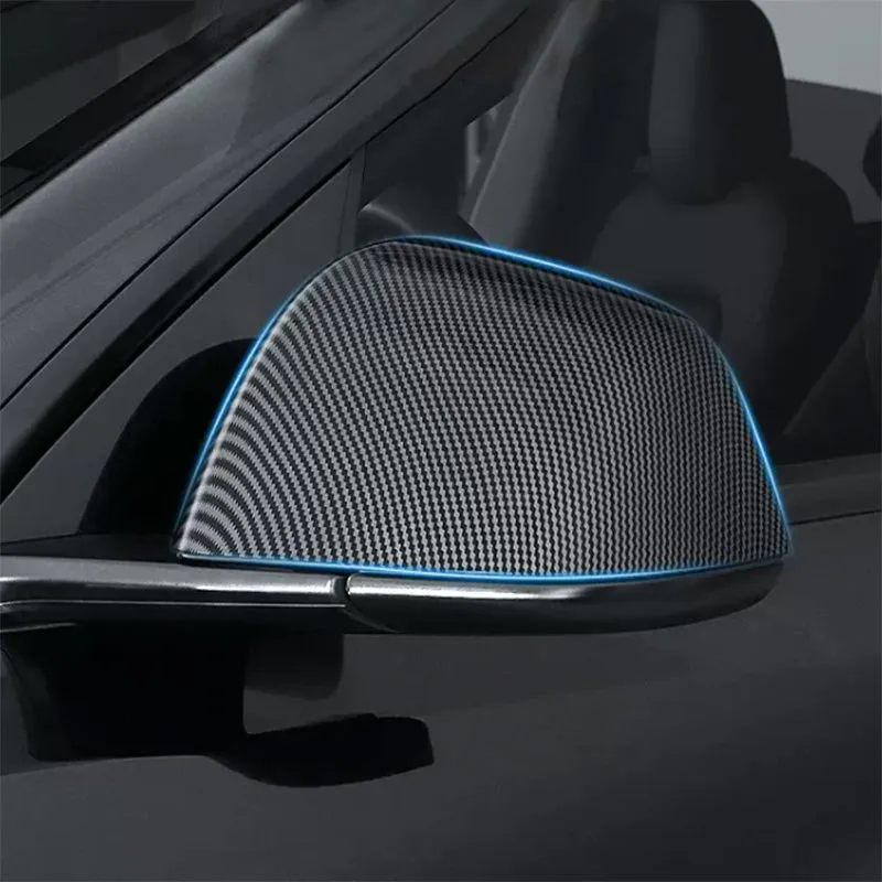TAPTES Carbon Fiber Side Mirror Decorate Covers for Model Y 2025-2020