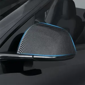 TAPTES Carbon Fiber Side Mirror Decorate Covers for Model Y 2025-2020