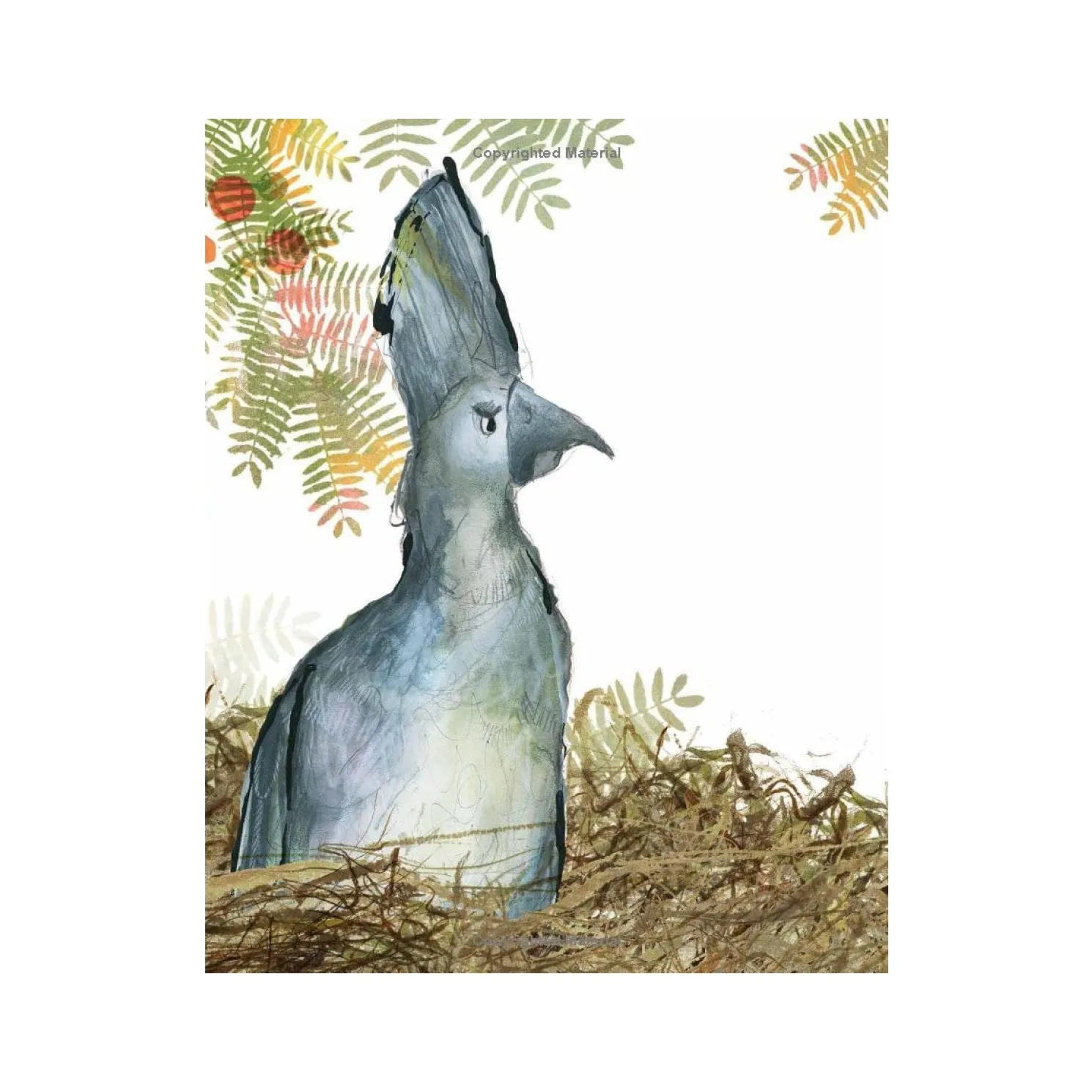 The Go-Away Bird | Julia Donaldson
